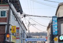 골목상권 활성화 위한 경민 대학로 더드림 재생사업 본격 시작!