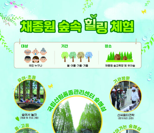 숲속 힐링 체험, 산림교육 프로그램 운영