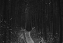 어디서나 15분 명품 숲세권! 남산자락숲길 전면 개통 a black and white photo of a dirt road in the woods