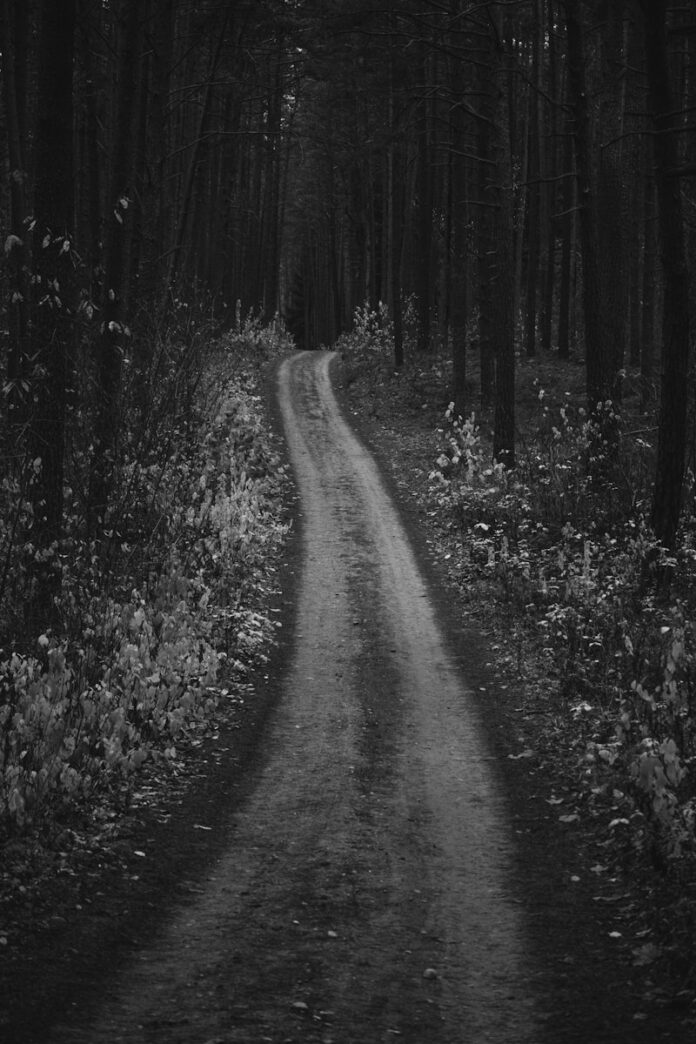 a black and white photo of a dirt road in the woods