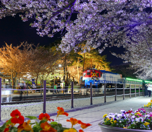 경남으로 설레는 봄꽃 여행 떠나요