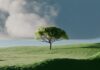 ‘마음 챙기기’, 일상 속 작은 변화가 건강을 이끈다 A single tree on a vibrant green rolling hill.