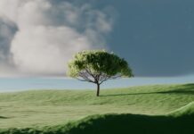 ‘마음 챙기기’, 일상 속 작은 변화가 건강을 이끈다 A single tree on a vibrant green rolling hill.