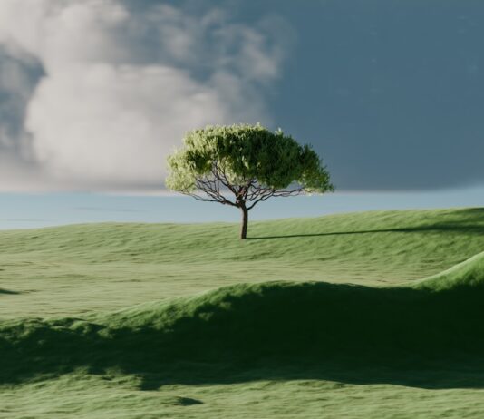 ‘마음 챙기기’, 일상 속 작은 변화가 건강을 이끈다 A single tree on a vibrant green rolling hill.